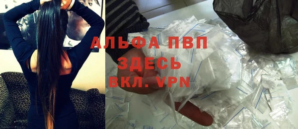 дживик Пересвет
