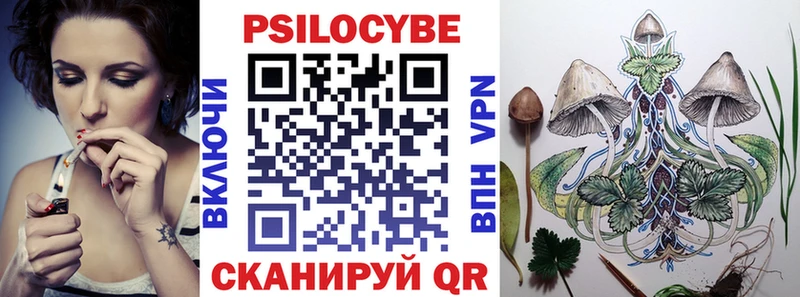 Купить закладки  Зеленогорск  Псилоцибиновые грибы мицелий 